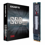 GIGABYTE M.2 PCIe SSD 256GB in Pakistan
