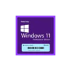Buy Microsoft's Windows 11 Pro Key in Pakistan | TechMatched