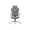 AndaSeat X-Air Pro Mesh Office Gaming Chair in Pakistan